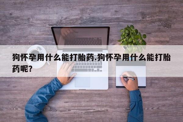 胎停大月份打胎药微信狗怀孕用什么能打胎药.狗怀孕用什么能打胎药呢？