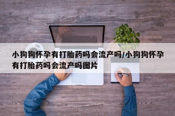 胎停大月份打胎药微信小狗狗怀孕有打胎药吗会流产吗/小狗狗怀孕有打胎药吗会流产吗图片