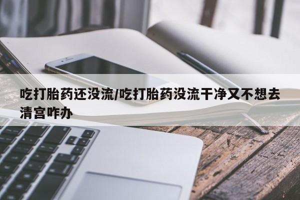 胎停大月份打胎药微信吃打胎药还没流/吃打胎药没流干净又不想去清宫咋办