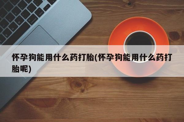 胎停大月份打胎药微信怀孕狗能用什么药打胎(怀孕狗能用什么药打胎呢)